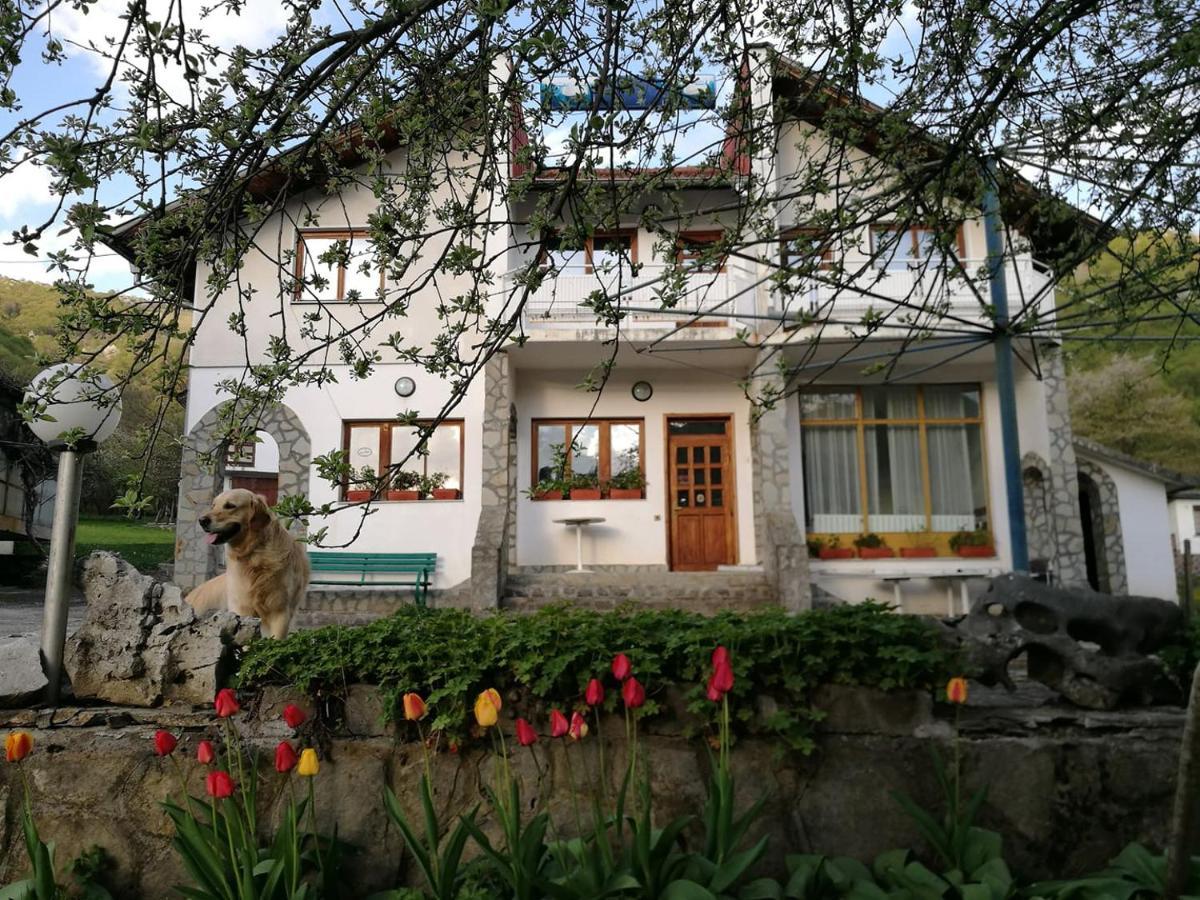 Самостоятелни Стаи В Къща За Гости Балкан Ribaritsa Buitenkant foto