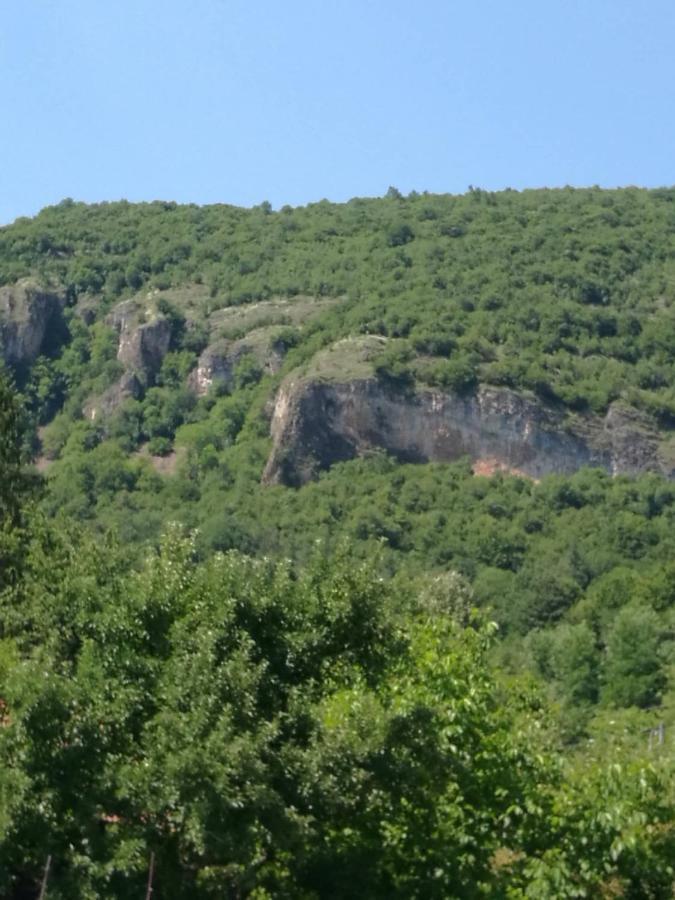 Самостоятелни Стаи В Къща За Гости Балкан Ribaritsa Buitenkant foto